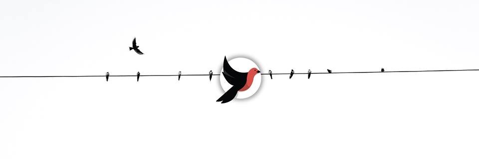 FLOCK banner