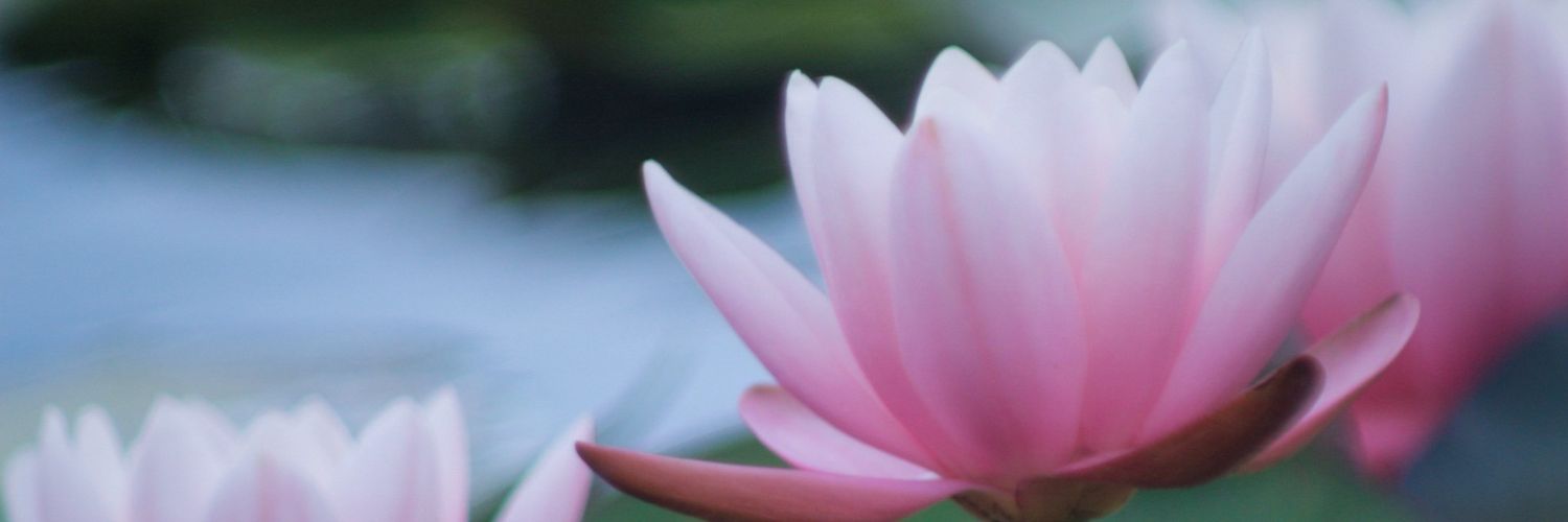 katiefarmer3's profile banner image