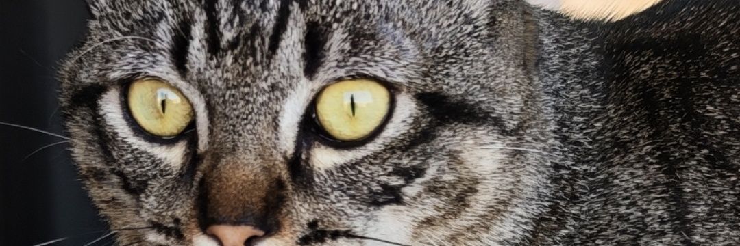 M0ny90's profile banner image