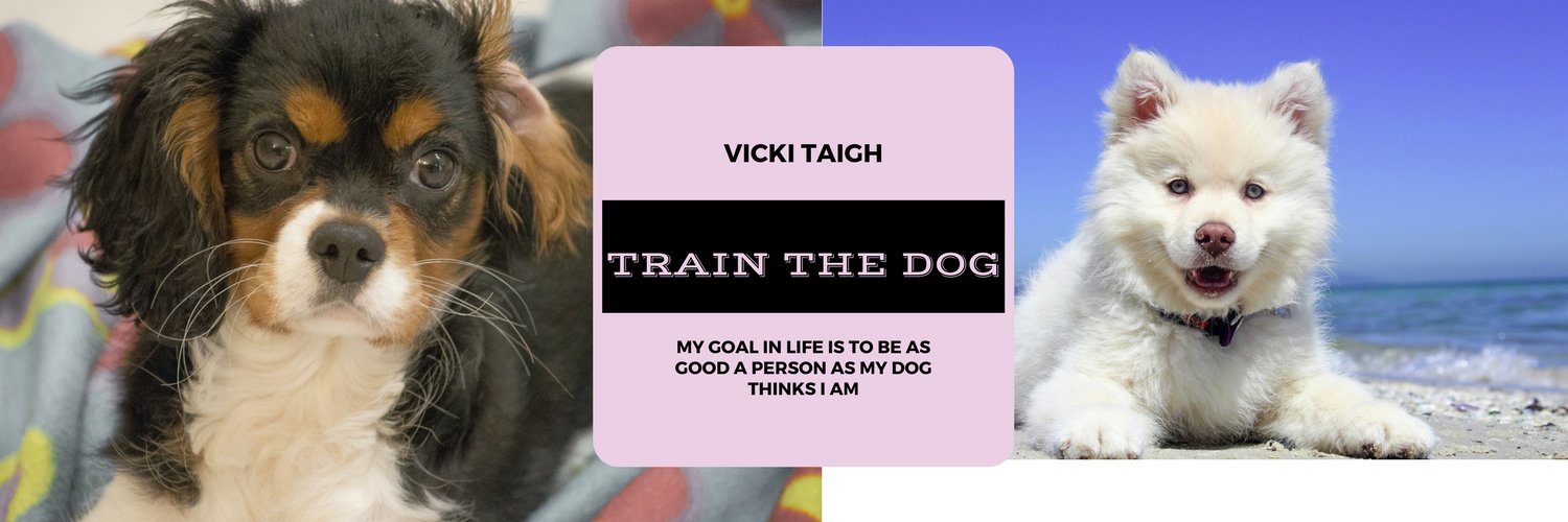 train_the_dog's profile banner image