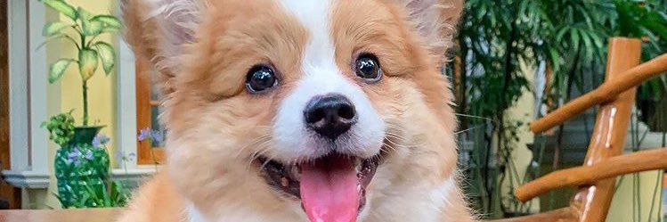 bbbnps's profile banner image