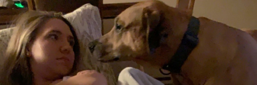 alec_meierhoff's profile banner image