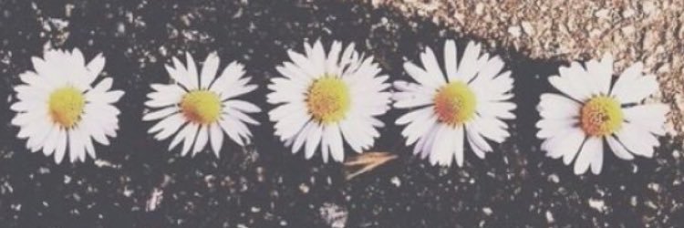 tabbathaa_'s profile banner image