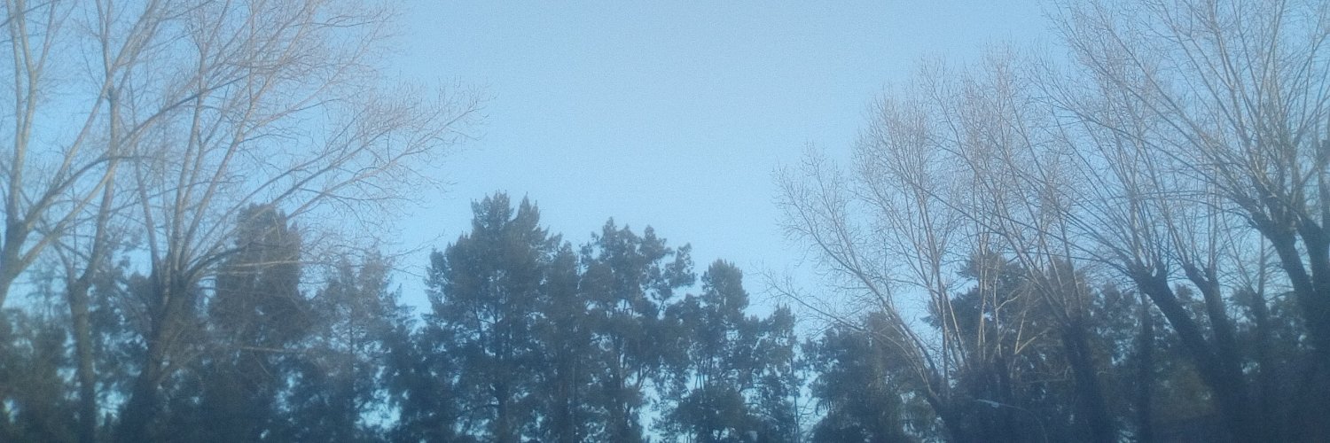 DanmteCjs's profile banner image