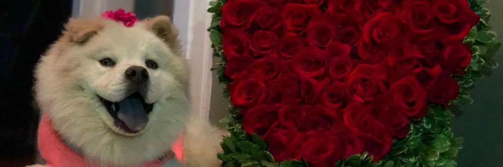 AK🦋 banner