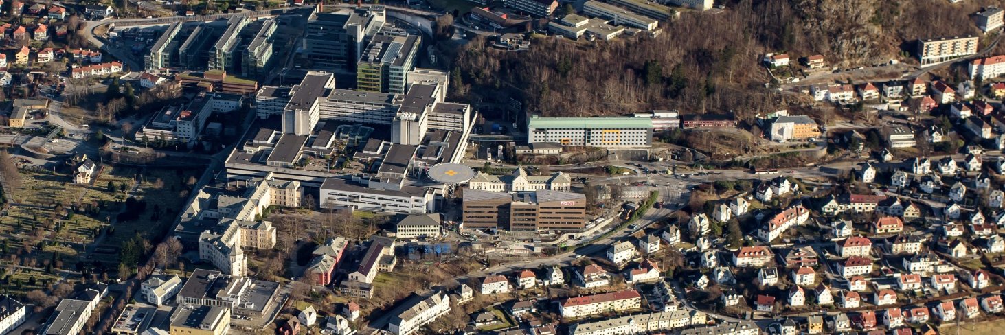 Øystein Haaland banner