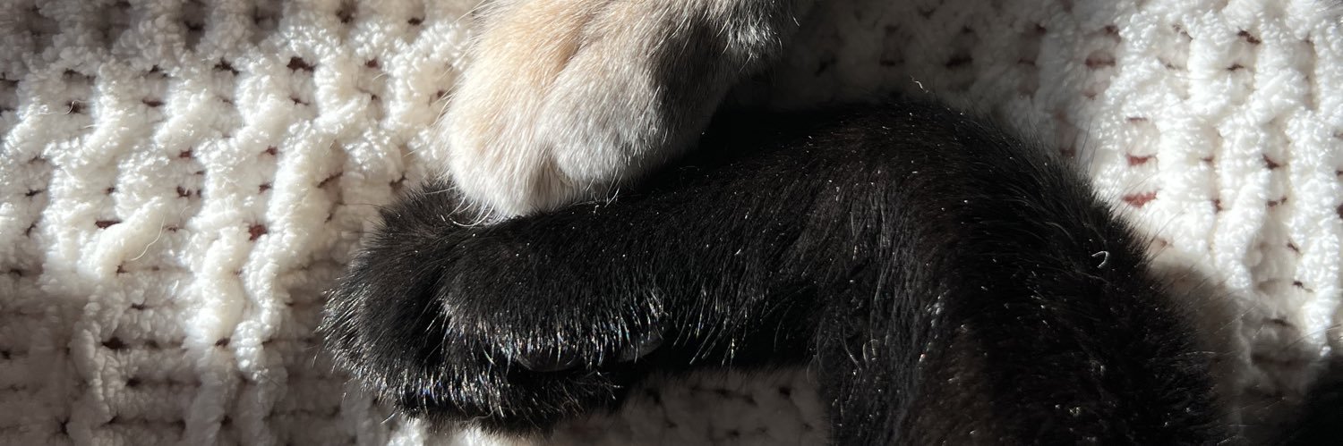 comptonkatelyn's profile banner image