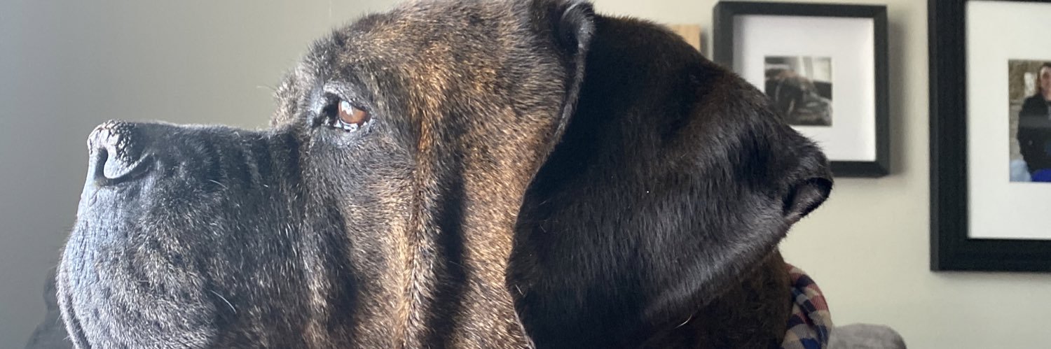 RoweKolbie20's profile banner image