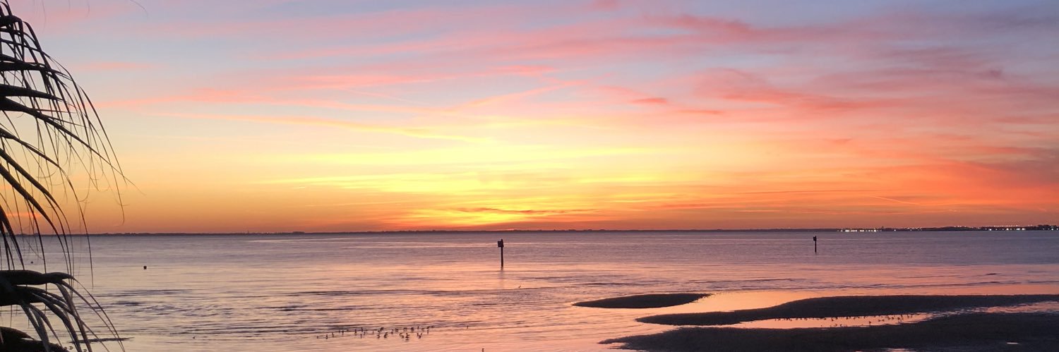 _CALIMARI's profile banner image