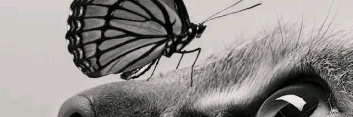 Shradhaa28's profile banner image