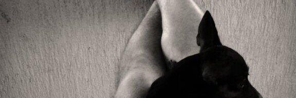 Que pase el Desgraciado!!!!! banner