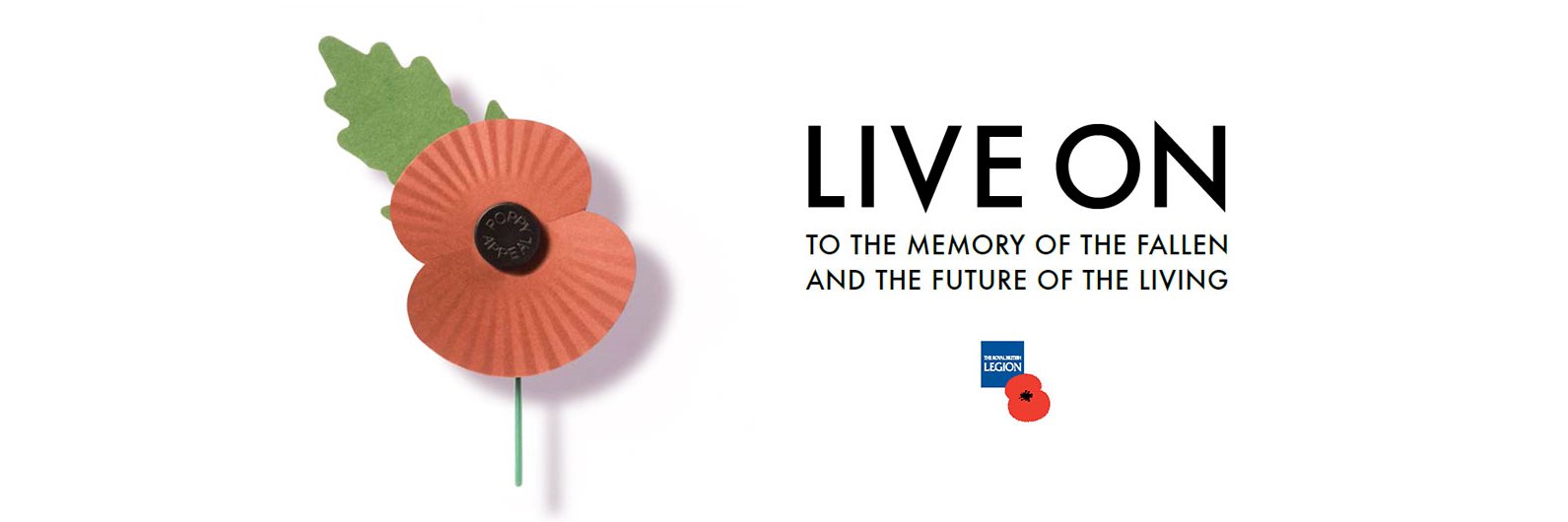 Devon Poppy Appeal banner