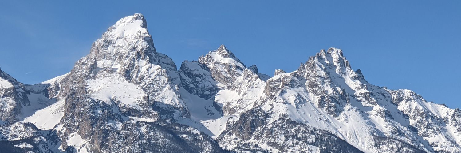 Michael Covington banner