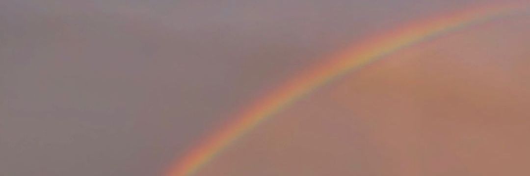 catychanas1's profile banner image