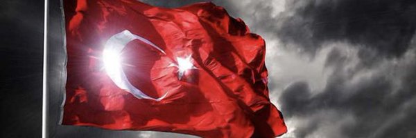 Redbeeea Profile Banner