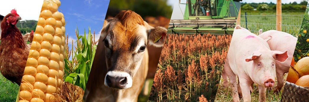 Agroindustria360 banner