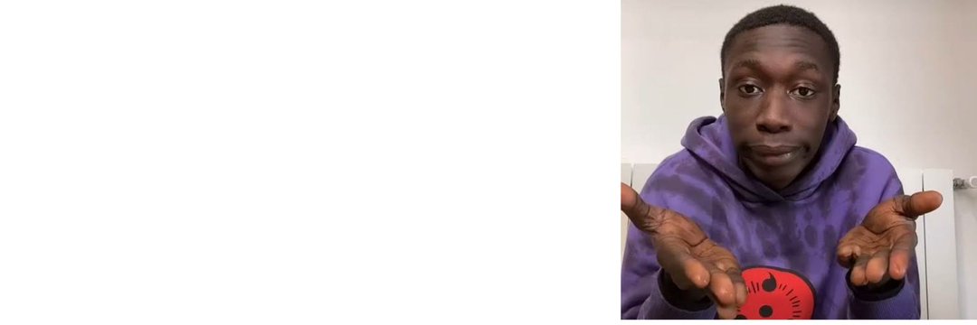 Pallavi banner