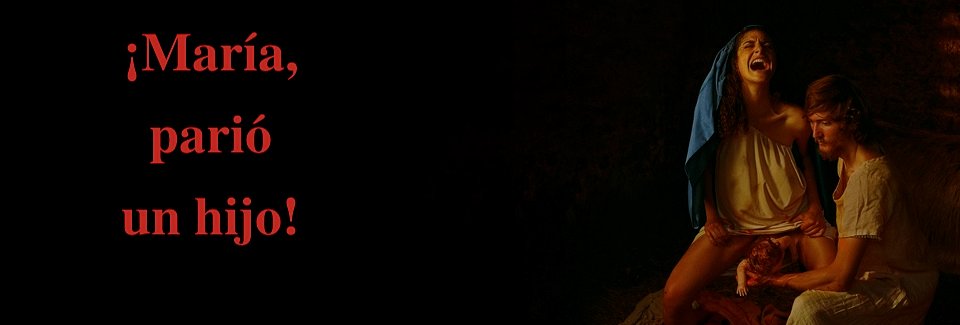 bichebiche's profile banner image
