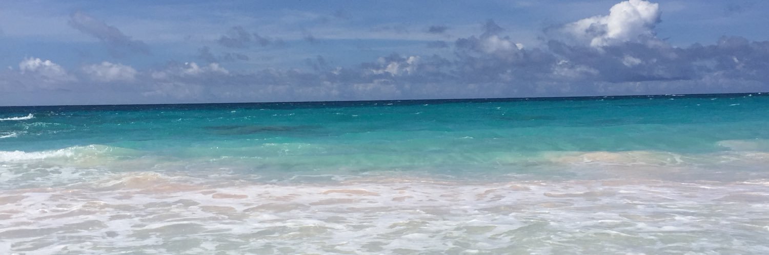 MeghanLever's profile banner image