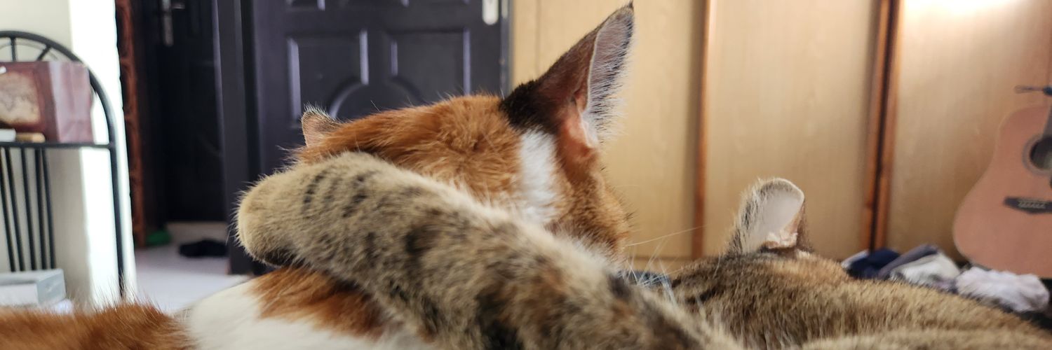 dizzyjeezy's profile banner image
