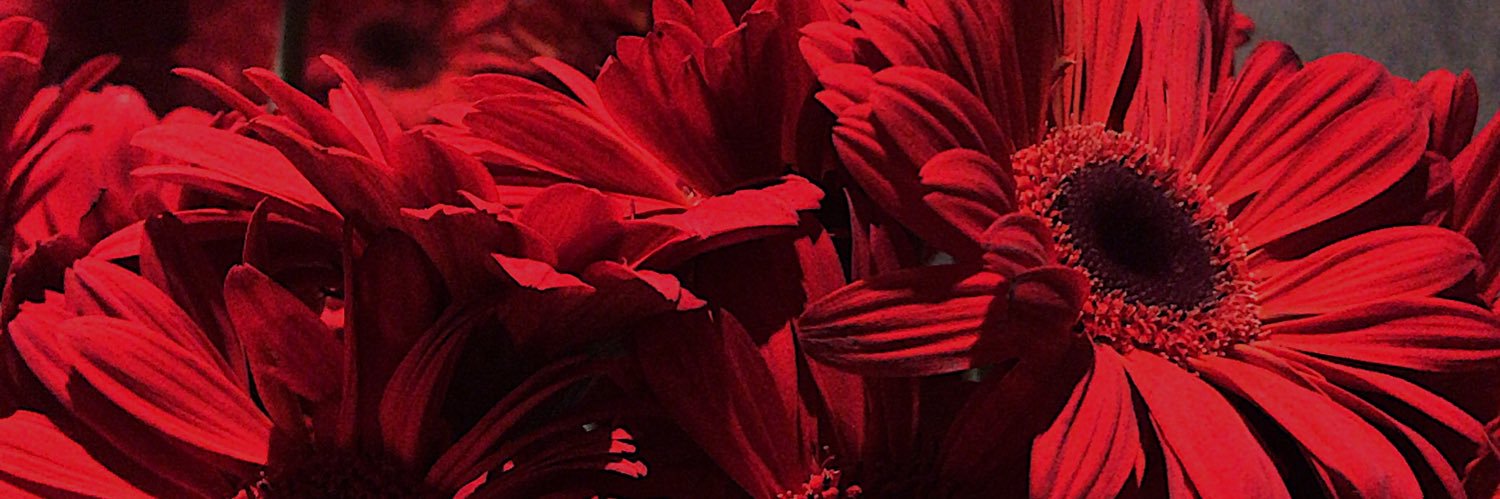 anzanee's profile banner image