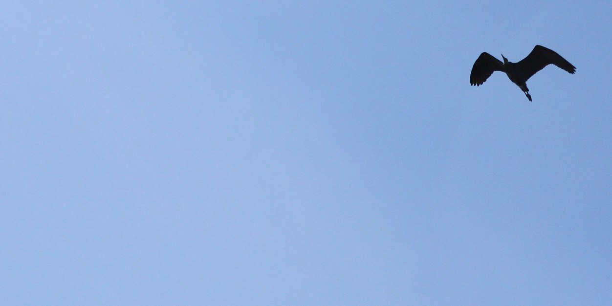 AbitRachel's profile banner image