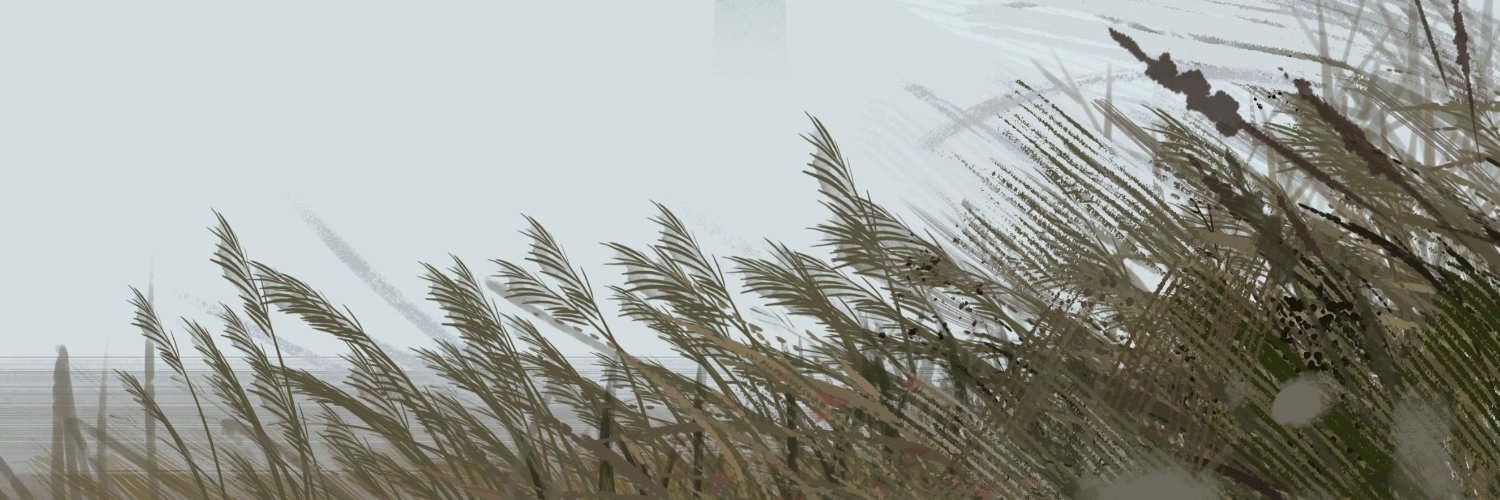 WondaCat's profile banner image