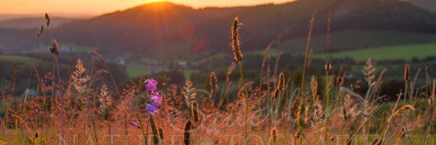SauerlandReise's profile banner image