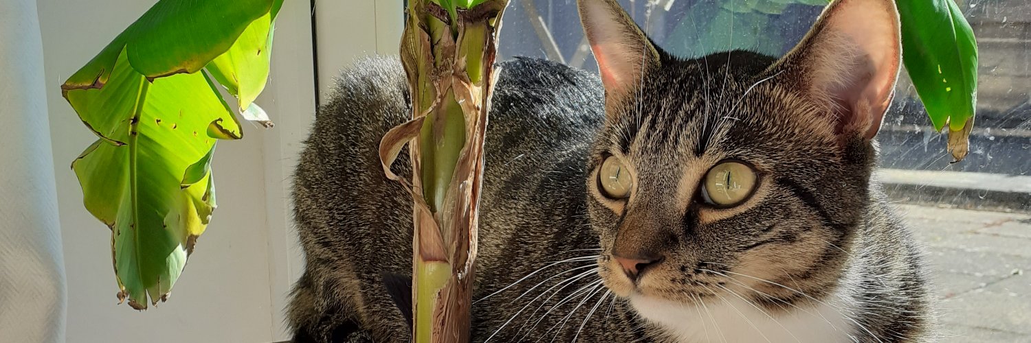 PanterPaige's profile banner image