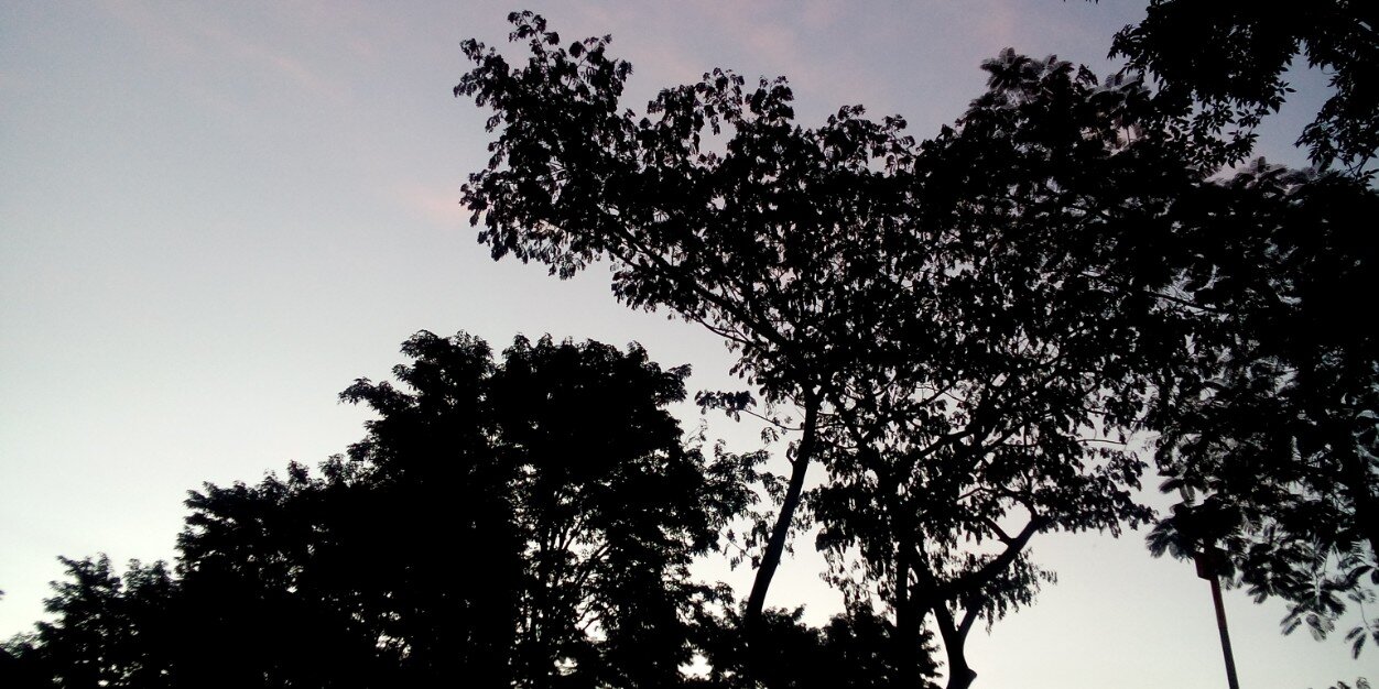 gecannn's profile banner image