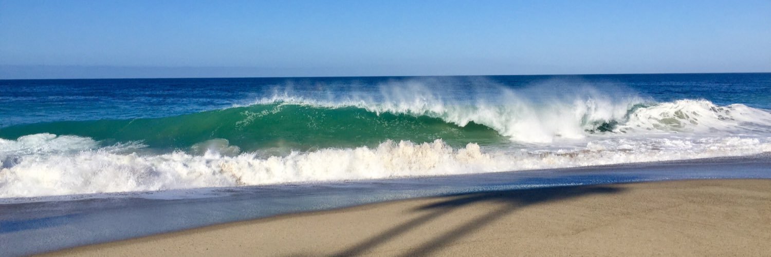 Beach Walks banner
