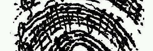 Timothy Willoughby banner