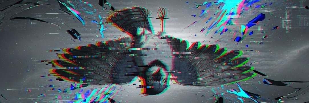 Heather Birdy banner