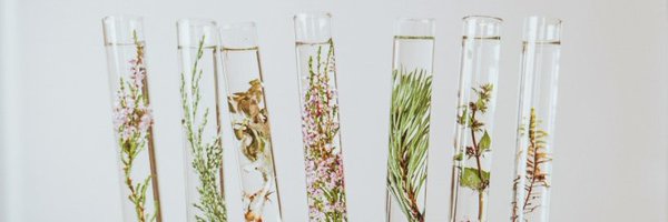 AlternatPlants Profile Banner