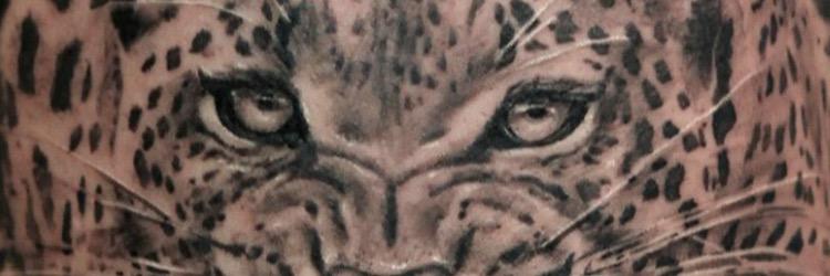 RobDemc's profile banner image