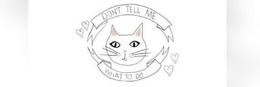 ImTheFuckingCat's profile banner image