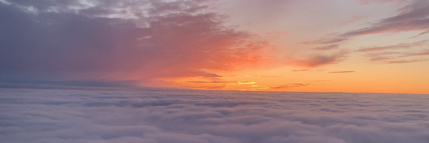 Burnsolii's profile banner image