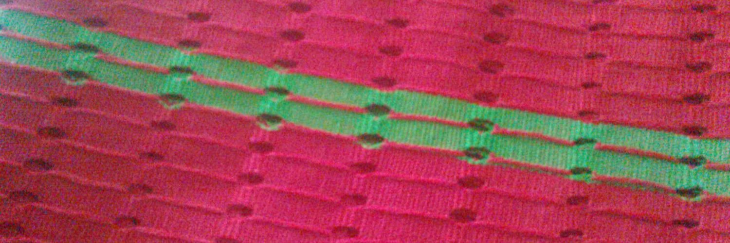bodlait's profile banner image