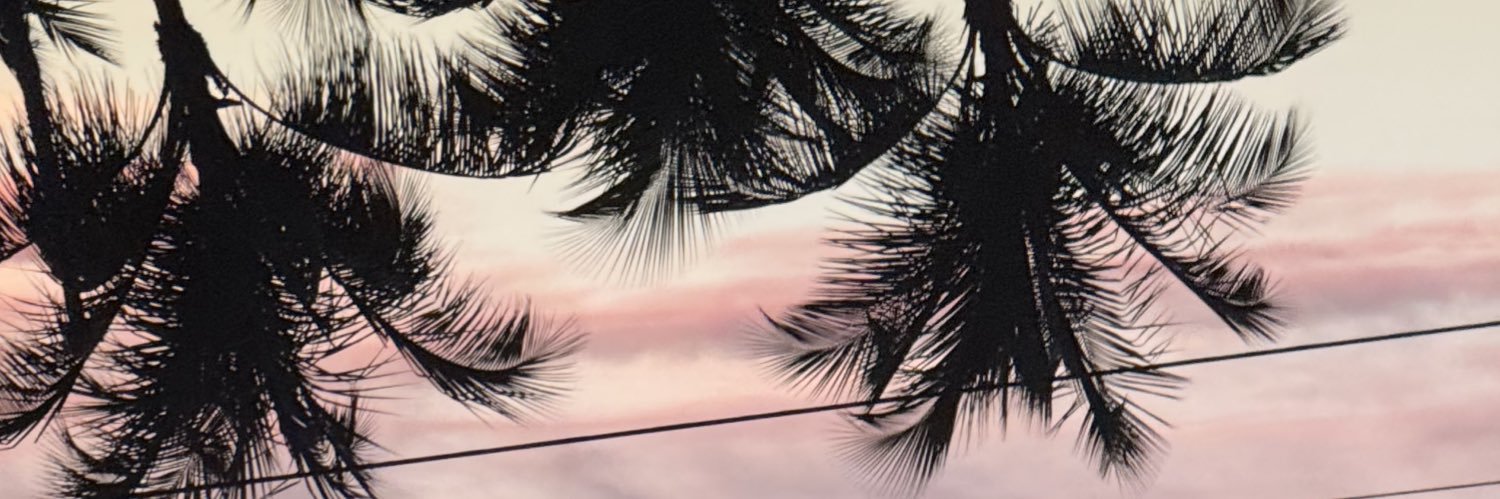 Areeshaaaa's profile banner image