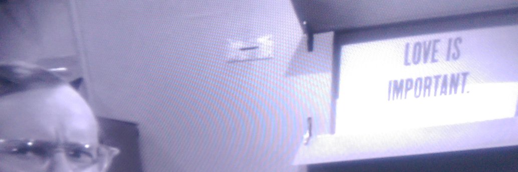 sarah clark (they) banner