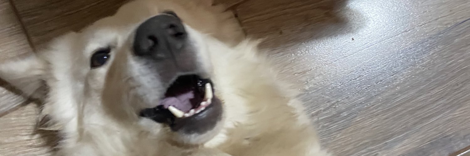 viccudc's profile banner image