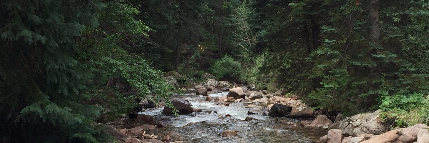 Just Curious / @belikewater banner