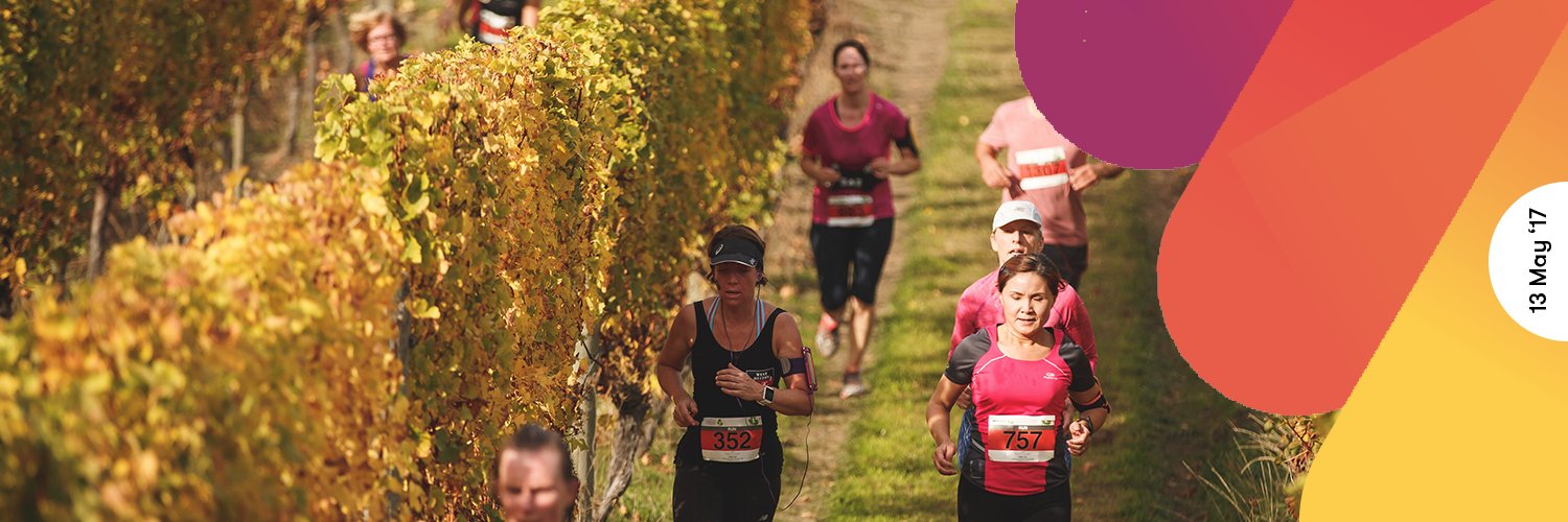 Vineyard Half banner