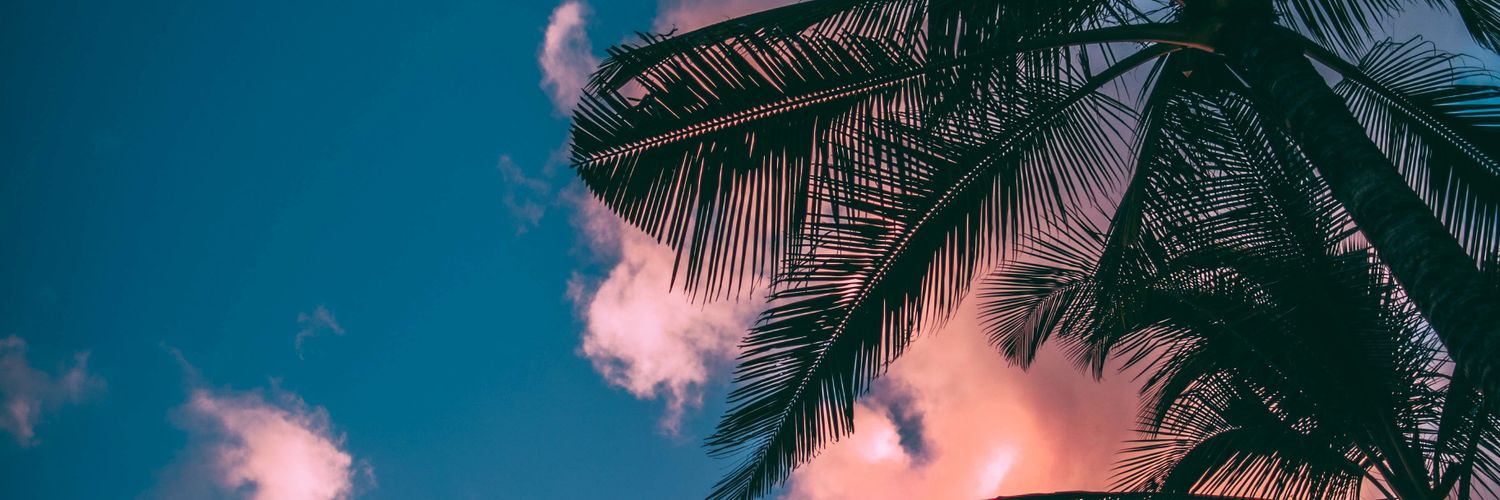 LuliBarbero7's profile banner image