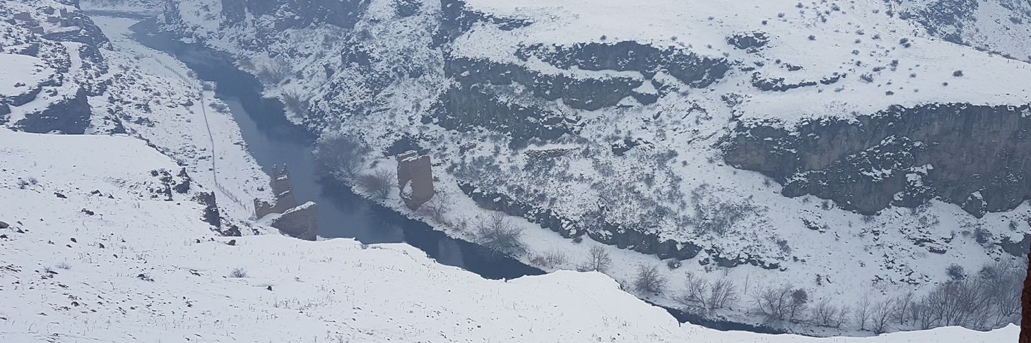 mfozd's profile banner image