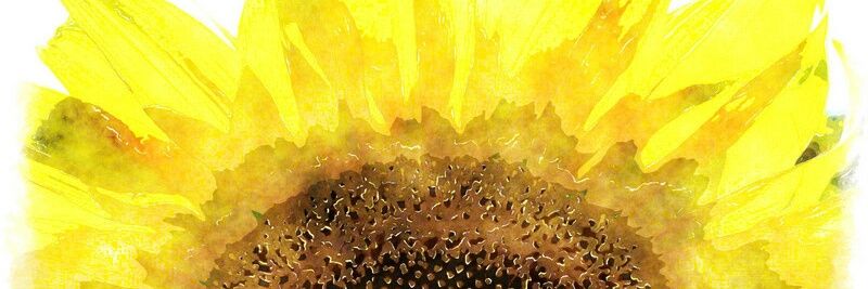 MsHarrington44's profile banner image