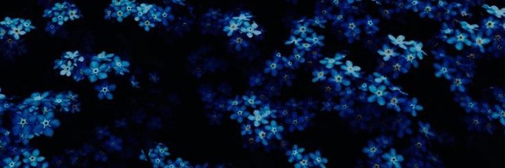 fIowersoph's profile banner image