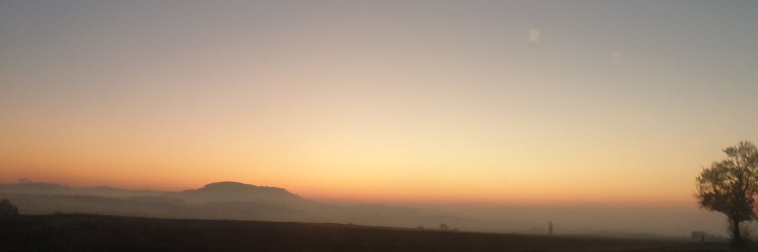 Nxts_33's profile banner image