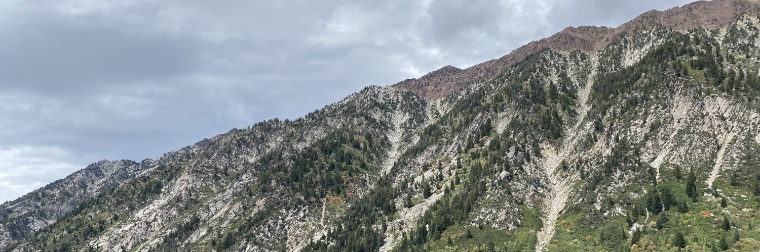 natbaugh's profile banner image