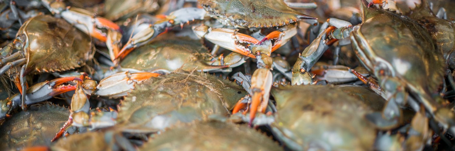 Capt White's Seafood banner